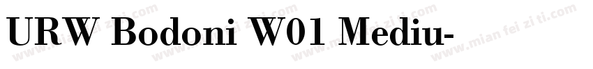 URW Bodoni W01 Mediu字体转换